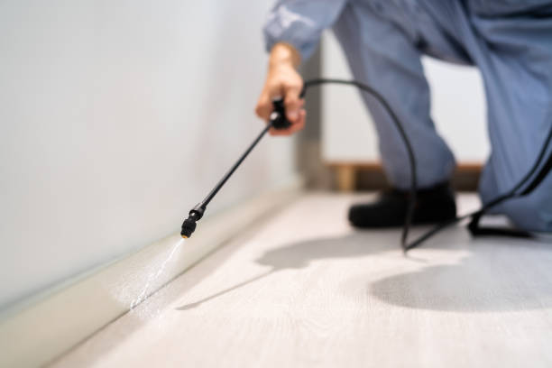 Licensed Mosquito Control service in South Hill, WA - Show Me Pest Control