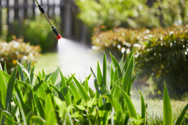 24/7 Emergency Mosquito Control experts in South Hill, WA