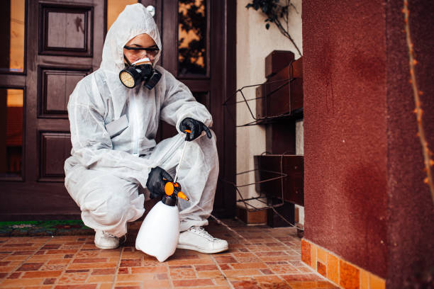 Reliable Mosquito Control contractor in South Hill, WA by Show Me Pest Control